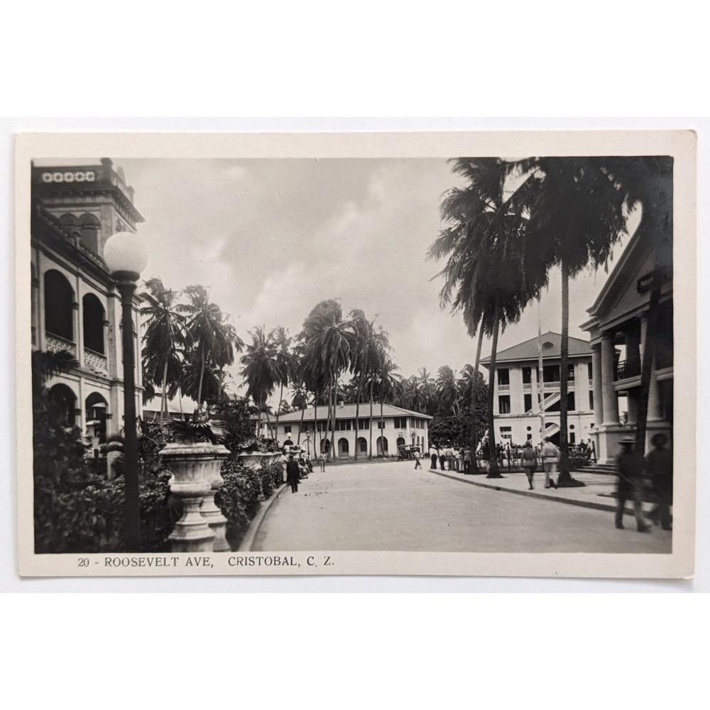 Cristobal, Panama Roosevelt Ave Street View Canal Zone Palm Trees‎ RPPC Postcard